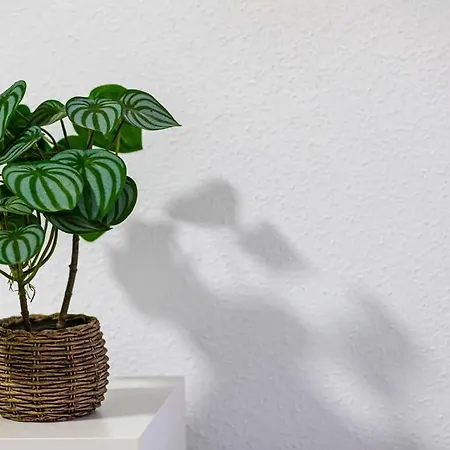 Heroes De Sostoa Apartman Málaga