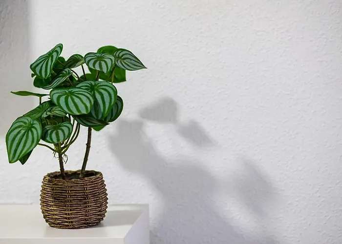 Con Balcon Cerca Maria Zambrano Appartement Málaga